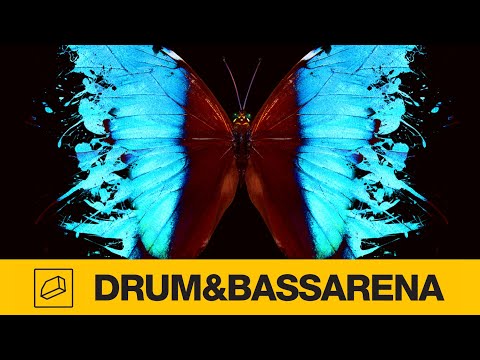 Science Of Man - Dark Times